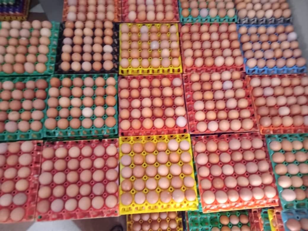 Graded eggs in stacked crates